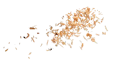 Sägespäne